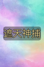 遮天神捕封面