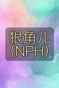 狠角儿(NPH）封面